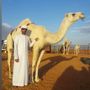 علي الحفيتي
