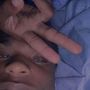 jaythebreed