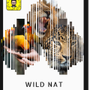 Wild Nat 🐅 🐆🦓🦍🐎🦈