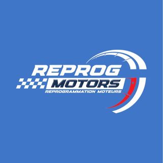 REPROG MOTORS A DOMICILE
