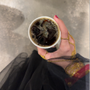 زيـنَب مـاجد