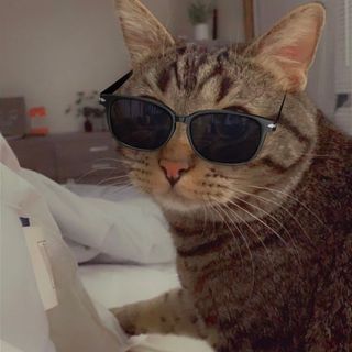 Chip TheMan