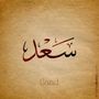 Snapchat profile picture for @saad15979