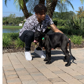 Markelle Fultz