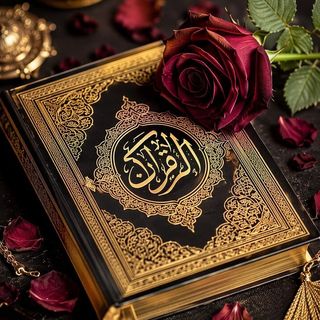 🌹quran__0o🌹
