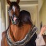 🎖ABAYA 🇸🇦الــمـهــره🐎