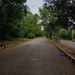 Itx.hadii1