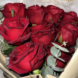 نِوٌر آحًمًدٍ 💕🫰