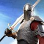 knightsfight2