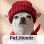 Pet_moodz