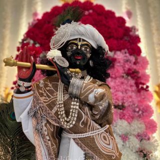 Yogesh 👑