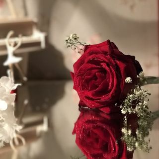 احلى من الورد🌹