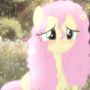 💛🌸ⲫⲗⲁⲧⲉⲣⲱⲁύ🌸🩷