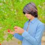 سردار