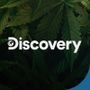 Snapchat profile picture for @discovery
