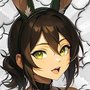 AniBunny
