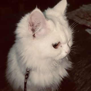 gourav_999