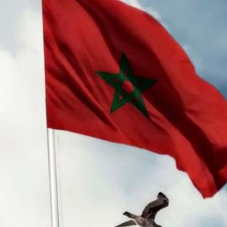 شلحة🇲🇦🧚‍♂️