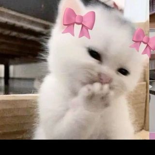 باربي👸🏼🪞🎀