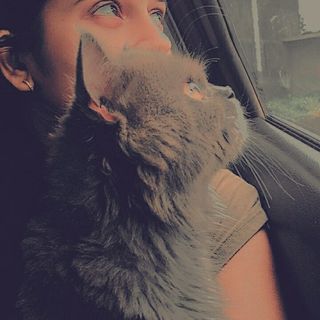 Furtado Joycy
