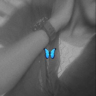 Butterfly🧿🦋