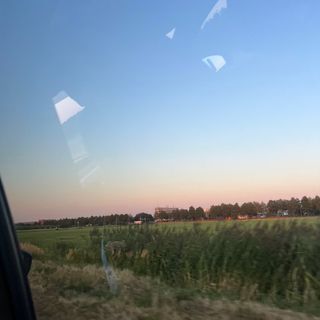 LN