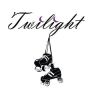 Twilight Skating Rink