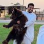 ابوحاتم