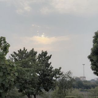 Janvi