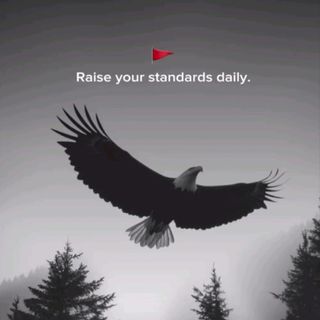👑 🚩