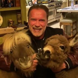 Arnold Schwarzenegger