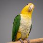 محمية بندر 🦜🐣🌿🛠