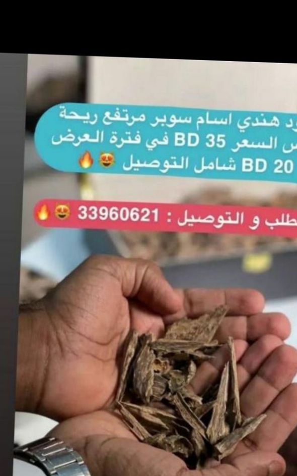 أسطورة العود في البحرين 🇧🇭