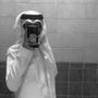 فارس