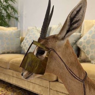 ‏ 🦌