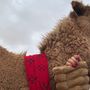 ﮼بشاير،العيد♥️🐪