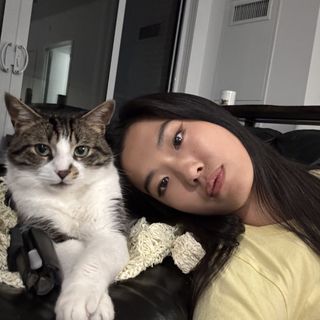 Nemo