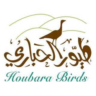 طيور الحباري للتجهيزات البرية
