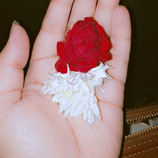 حیا فاطمہ