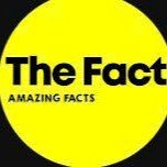The Fact
