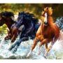 🐎Golden Moon🐎
