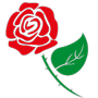 Red Rose Paradise🌹