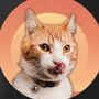 Ros Adventure Cat Official