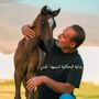 Nawzad Stud