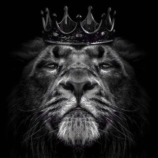 ندى الورد 🔮♌️