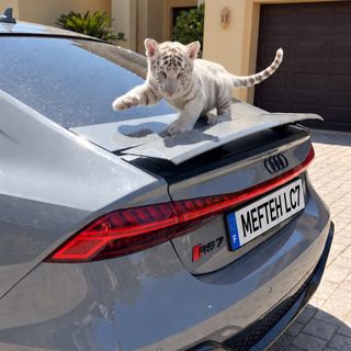 MEFTEH LC7 🏎️🇩🇪
