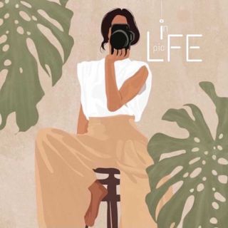 Life in Pic 📸