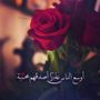 Profile picture for فخامة أنثى