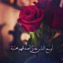فخامة أنثى