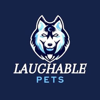 Laughable Pets